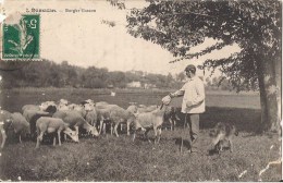 DAMAZAN BERGER GASCON ET SON TROUPEAU DE MOUTON - Damazan