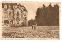 S1739 - Libramont - Domaine De Roumont - Le Château - Libramont-Chevigny