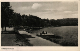 Malente. Diekseepromenade - Malente-Gremsmühlen