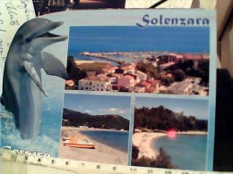 DELFINO  SOLENZARA  CORSE  VB2008 EO10885 - Dolphins