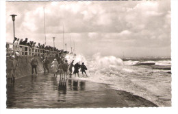 Germany - Nordseebad Norderney - Sturmflut - Norderney