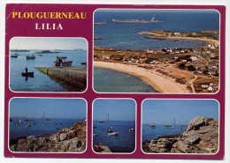 29 - PLOUGUERNEAU - Vue Generale De Lilia - Plouguerneau