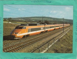TGV SUD EST RECORD DU MONDE 26 FEVRIER 1981 - Treinen