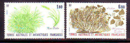 FR. ANTARCTIC - PLANTS - **MNH - Antarktischen Tierwelt