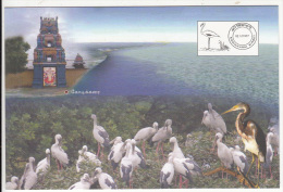 Kodikkarai, Dept. Of Post Picture Postcard, Pictorial Cancel Image, Bird Sancturay, Flamingo - Flamingo