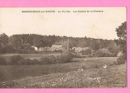 D88. MONTHUREUX-SUR-SAONE. LA PERCHE. LES RUINES DE LA FILATURE. - Monthureux Sur Saone