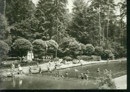 Ziegelroder Forst Kreis Querfurt Badeteich Jägerhütte Tierpark Hermannseck Sw 1974 - Querfurt