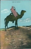 Postcard RA001727 - Arabic Man On Camel - Africa