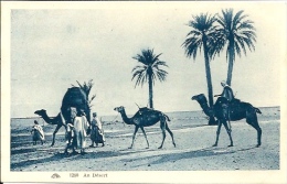 Postcard RA001729 - African Men With Camel - Afrique