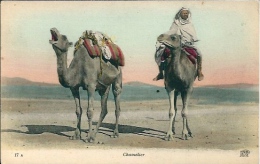 Postcard RA001730 - Middle East Man With Camels - Africa