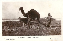 Postcard RA001737 - Morocco (Maroc) Le Vieux Laboureur - Afrika