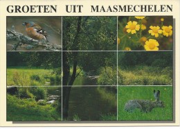 Groeten Uit Maasmechelen - Maasmechelen