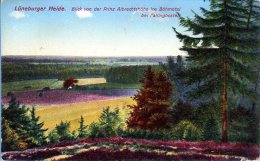 Lüneburger Heide - Blick V D Prinz Albrechtshöhe Ins Böhmetal - Lüneburger Heide