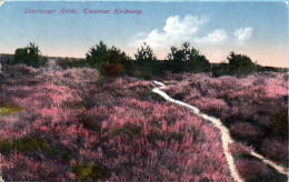 Lüneburger Heide - Einsamer Heideweg - Lüneburger Heide