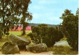 Lüneburger Heide - Findlinge Mit Blick Zum Hügelgrab - Lüneburger Heide