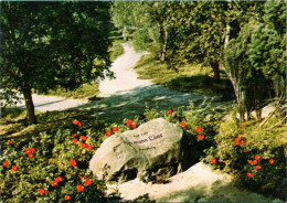 Lüneburger Heide - Hermann Löns Grab 4 - Lüneburger Heide