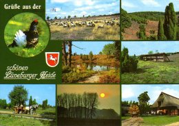 Lüneburger Heide - Mehrbildkarte 11 - Lüneburger Heide