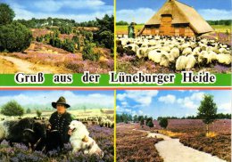 Lüneburger Heide - Mehrbildkarte 12 - Lüneburger Heide