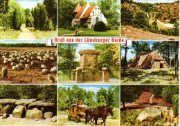 Lüneburger Heide - Mehrbildkarte 21 - Lüneburger Heide