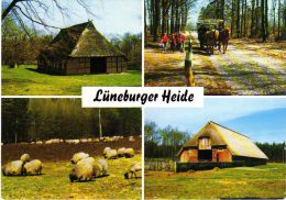 Lüneburger Heide - Mehrbildkarte 49 - Lüneburger Heide