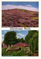 Lüneburger Heide - Mehrbildkarte 5 - Lüneburger Heide