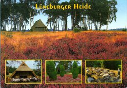 Lüneburger Heide - Mehrbildkarte 57 - Lüneburger Heide