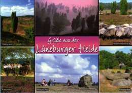 Lüneburger Heide - Mehrbildkarte 58 - Lüneburger Heide