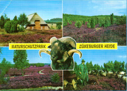 Lüneburger Heide - Mehrbildkarte 61 - Lüneburger Heide