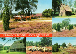 Lüneburger Heide - Mehrbildkarte 62 - Lüneburger Heide