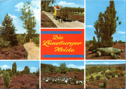 Lüneburger Heide - Mehrbildkarte 63 - Lüneburger Heide