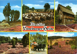 Lüneburger Heide - Mehrbildkarte 64 - Lüneburger Heide