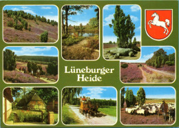 Lüneburger Heide - Mehrbildkarte 66 - Lüneburger Heide