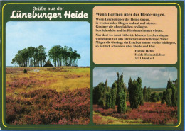 Lüneburger Heide - Mehrbildkarte 72 - Lüneburger Heide