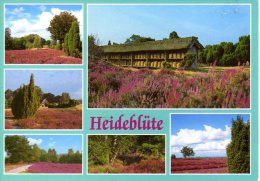 Lüneburger Heide - Mehrbildkarte 9 - Lüneburger Heide