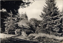 CPM - Harzbahnen Fahrt Bei Drei Annen Hohne - Train, Locomotive - Harzgerode