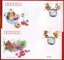 CHINA 2014-15  Fruit Stamp FDC - 2010-2019