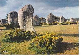 CARNAC ALIGNEMENTS DU MENEC,COULEUR  REF 41180 - Dolmen & Menhirs