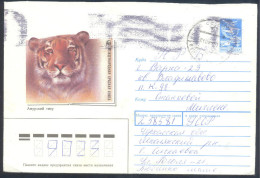 Russia; CCCP  PS Stationery Cover: Fauna Tiger Panthera Tigris; Amur Tiger / Siberian Tiger (Panthera Tigris Altaica), - Roofkatten