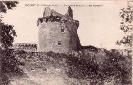 C 10848 - TONQUEDEC - 22- Le Grand Donjon Et Les Remparts  - Belle CPA - 1919 - - Tonquédec