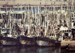 Flotte De Crevettiers A Mina Al Ahmadi - Shrimp Boats At Mina Al Ahmadi - Formato Grande Non Viaggiata - Koeweit