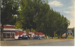 Twin Falls Idaho, Wegener Auto Court & Coffee Shop, C1940s/50s Vintage Linen Postcard - Twin Falls
