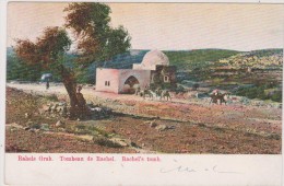 ISRAEL,CISJORDANIE,prés BETHLEHEM,Tombeau,tombe De RACHEL,tomb,femme De Jacob,chameau,rare - Giudaismo