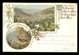 Litho. / Gruss Aus Murzzuschlag / Verlag M. Riegler / Year 1898 / Old Postcard Traveled - Mürzzuschlag