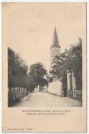 85 - SAINTE-HERMINE - Avenue De L'Eglise, Place De La Liberté Et Entrée Du Château - Sainte Hermine