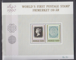 NORVEGE    1990        BF     N°    13        COTE    9 € 00 - Blocks & Sheetlets