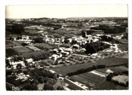 64  URRUGNE  -  VUE PANORAMIQUE  -  CPM 1950/60 - Urrugne