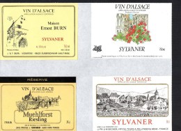 ALSACE - Sylvaner X 4 -  ( Etiquette Légèrement Collée Sur Feuille D´expo.) - Gewurztraminer