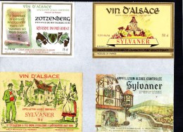 ALSACE - Sylvaner X 4 -  ( Etiquette Légèrement Collée Sur Feuille D´expo.) - Gewurztraminer