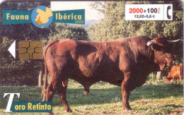 ESPAGNE SPAIN FAUNA IBERICA TORO 2000 PTAS UT - Kühe