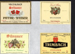 ALSACE -Sylvaner  X 4 -  ( Etiquette Légèrement Collée Sur Feuille D´expo.) - Gewürztraminer